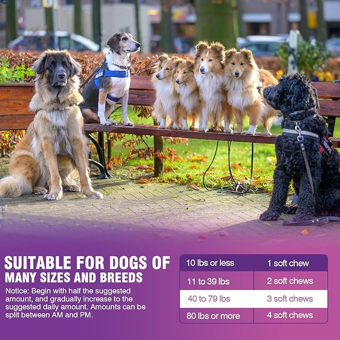 Glucosamine for Dogs 200pcs Joint Support Supplement Dog Hip and Joint Chondroitin Chews Treats with MSM Hemp Dog Joint Pain Relief Mobility Supplements Bacon Flavor Fit All Large Small Medium Breed