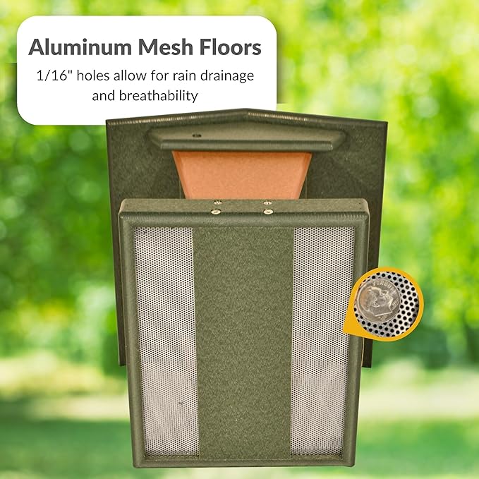 Plastic Hanging Hopper Bird Feeder, Large Bird Feeders for Outdoors, Suitable for Food, Seed, Mealworm (Large, Turf Green & Cedar)
