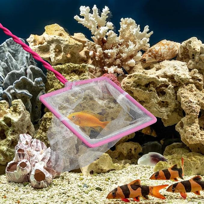 3 Pcs Tank Net Aquarium Fish Net Fish Landing Net Aquarium Fishing Net Fish