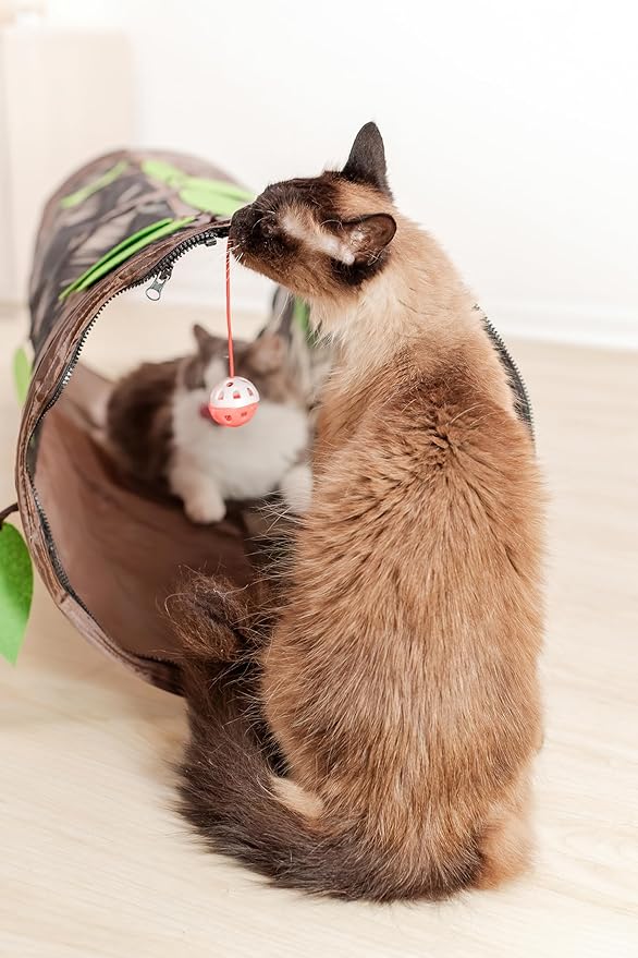 Chonky Cat Playground Set β Tunnel + Tent Combo for Maximum Zoomies