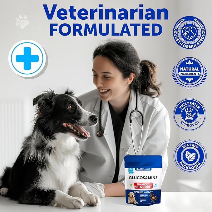 Glucosamine for Dogs Joint Pain Relief - Hemp Hip and Joint Supplement for Dogs - Chews with Chondroitin, MSM, Hemp Oil - Mobility Support - Canine Cartilage Health - 70 Soft Treats - Made in USA