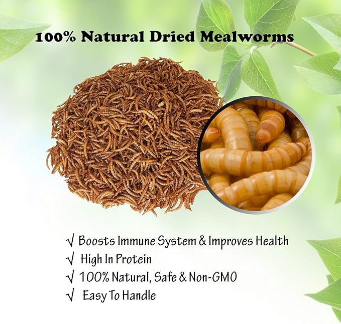 Amzey Dried Mealworms 1 LB, 100% Natural Meal Worms for Chicken & Birds, Organic Chicken Feed for Laying Hens, High Protein and Nutrition, Zipped Bag