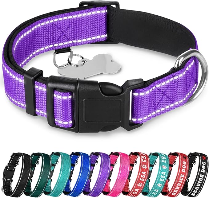 TECEUM Reflective Dog Collar β Purple β S β Extra Soft Padding β Basic Nylon Pet Collar β Quick Release Buckle β Fits Small, Medium and Large Dogs, Puppies, Cats β ESA & Service Dog Options