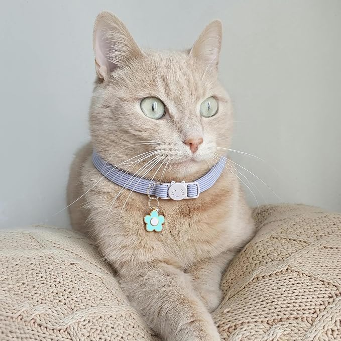 2 Pack Cat Collar with Bells, Corduroy Adjustable Kitten Collars with Breakaway Safety Buckle for Boy Girl Cats-Blue Brown