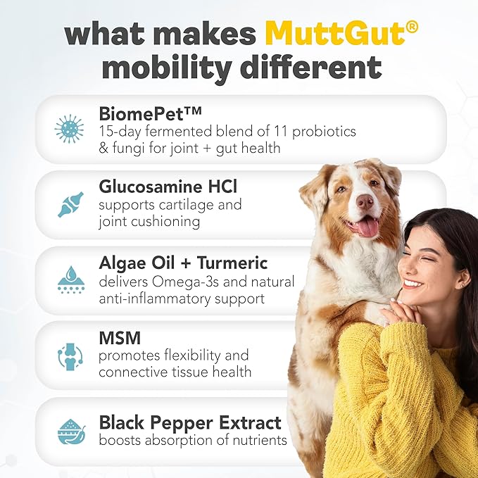 MuttGutยฎ Mobility Chews for Dogs - Glucosamine Chews with MSM, Turmeric & Algae Oil Powder - Joint Support & Hip Health Supplement for Dogs - Vet Recommended, cGMP Certified - 60 Soft Chews