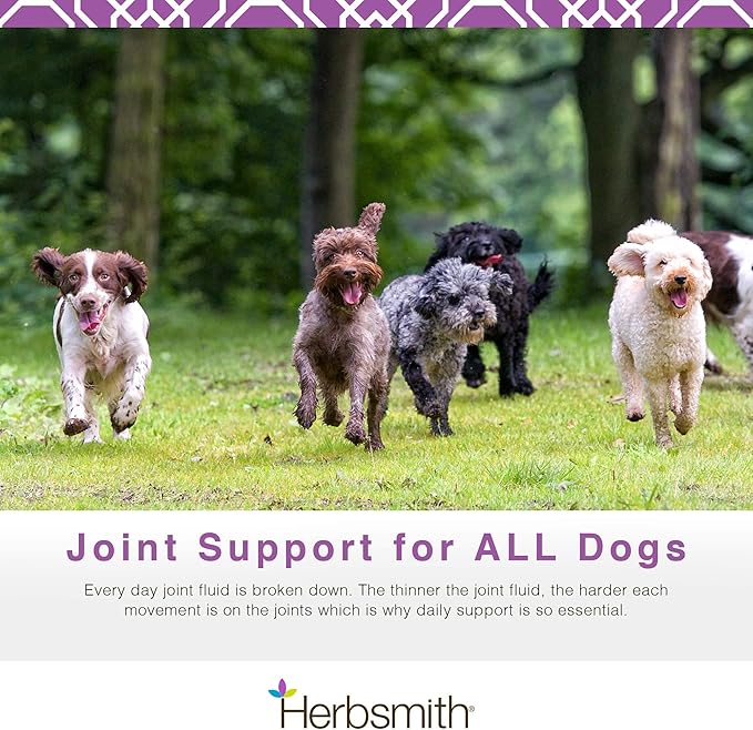 Herbsmith 75g Powder Advanced Joint Support Sound Dog Viscosity Veterinarian Recommended Glucosamine for Dogs