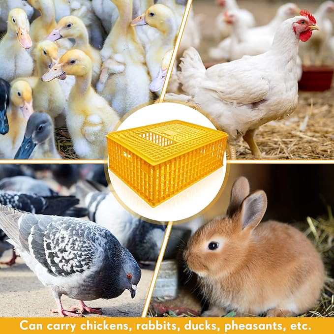 Sintuff 6 Pcs Poultry Carrier Crate Plastic Chicken Transport Cage Bird Carriers Chickens Carrier Travel Crate Basket Box for Poultry Chicken Bird Duck Goose, 29.5 x 21.7 x 11.6 Inch