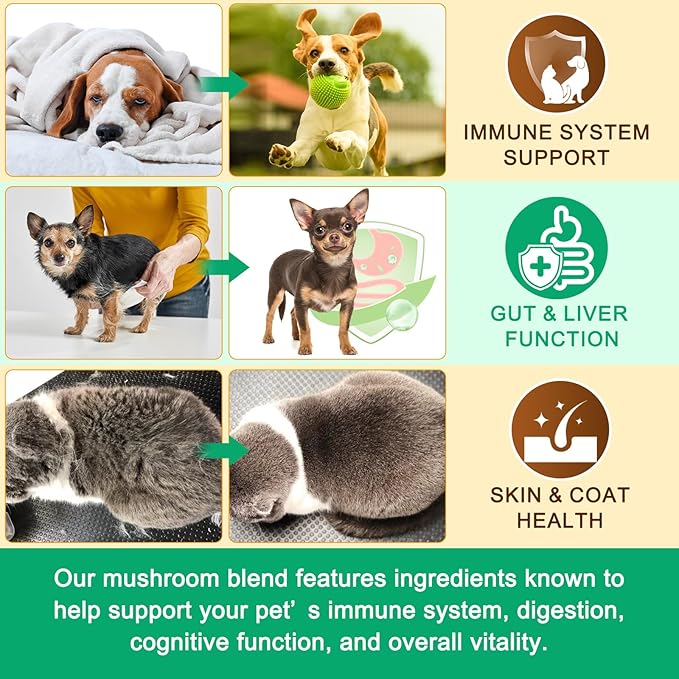 Mushroom Supplement Powder for Dogs & Cats, 11 Beneficial Mushroom Complex for Immune Support, Cellular Protection, Heart & Brain Health Lion's Mane, Reishi & Turkey Tail, Bacon Flavor - 120g