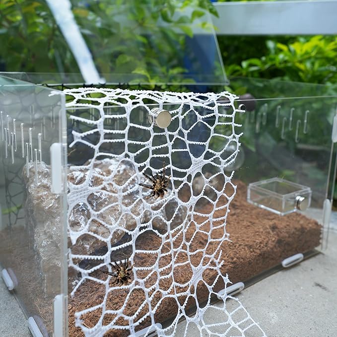 5Pcs Jumping Spider Hide Enclosure Habitat Accessories with Decoration Glass Ball, Feed Bowl and Climbing Web, Spider Hideout Accessories, Suitable for Small Reptile (Not Included Enclosures)