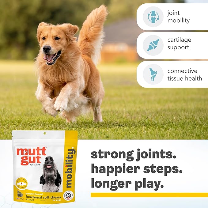 MuttGutยฎ Mobility Chews for Dogs - Glucosamine Chews with MSM, Turmeric & Algae Oil Powder - Joint Support & Hip Health Supplement for Dogs - Vet Recommended, cGMP Certified - 60 Soft Chews