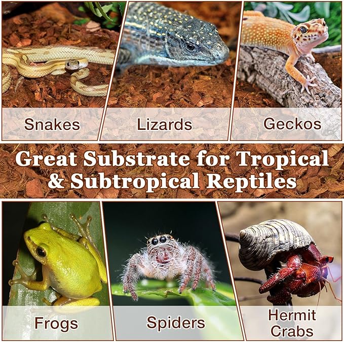 Halatool 10LB Coconut Chips Substrate for Reptiles 72QT Natural Coco Husk Snake Bedding for Ball Python Coco Coir Chip Terrarium Substrate for Tortoise Frog Gecko Hermit Crab Hamster