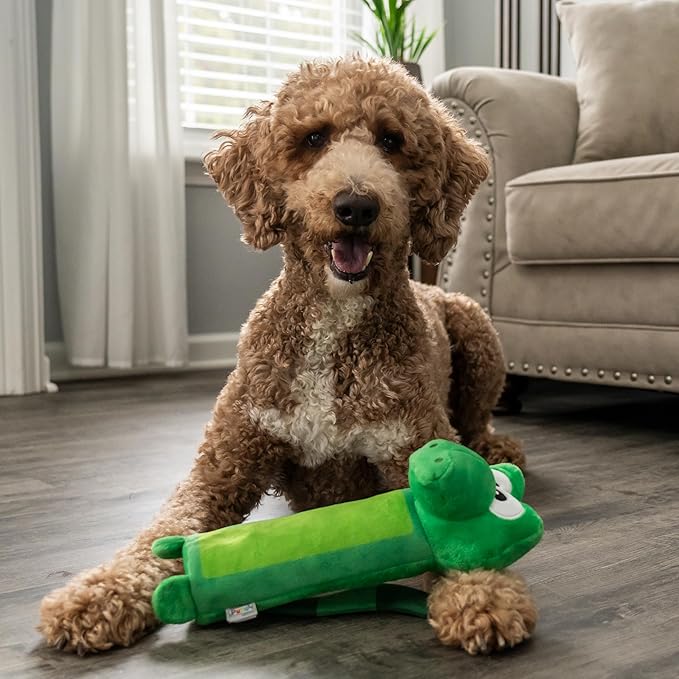 Outward Hound Bottle Bros Alligator Dog Toy, 12 Inch Plush Squeaky & Crackle Toy for Dogs, Interactive Fetch & Engaging Solo Play, Medium, Green