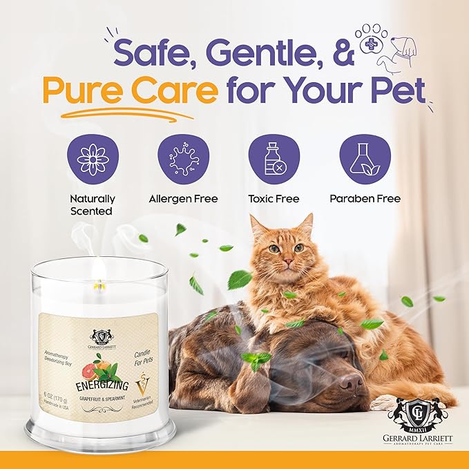 Energizing Grapefruit & Spearmint Scented Candles for Home Decor and Pet Odor - Aromatherapy Stress Relief Soy Wax Candles - Pet Odor Eliminator for Home