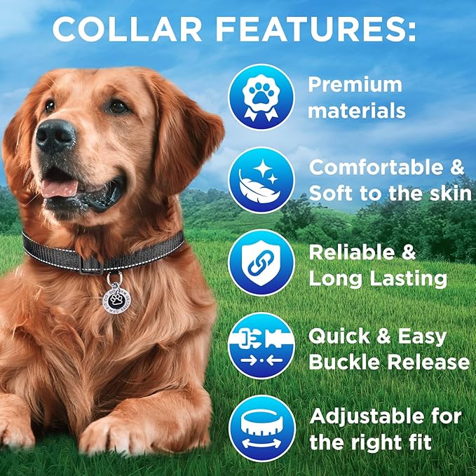 TECEUM Reflective Dog Collar β Black β L β Extra Soft Padding β Basic Nylon Pet Collar β Quick Release Buckle β Fits Small, Medium and Large Dogs, Puppies, Cats β ESA & Service Dog Options
