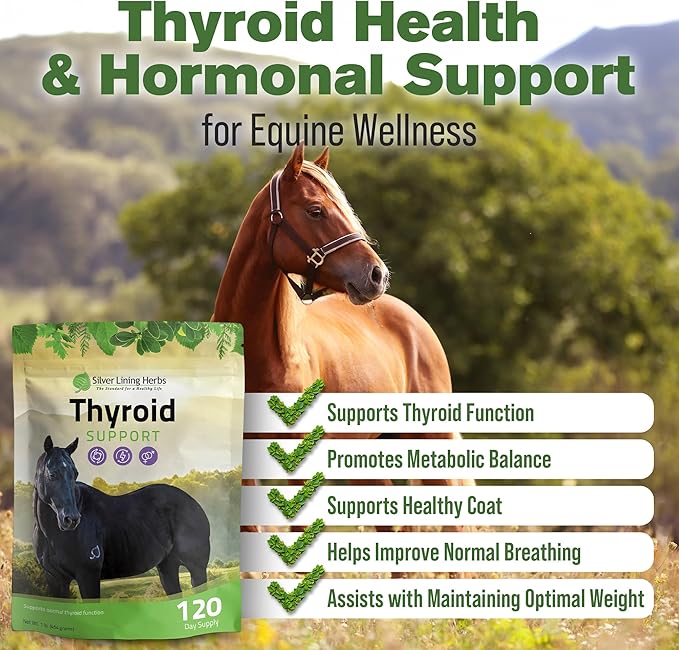 Silver Lining Herbs Thyroid Support for Horses β Herbal Horse Supplement for Normal Thyroid Function, Hormone Balance & Healthy Metabolism with Irish Moss, Kelp, Parsley β 120-Day Supply