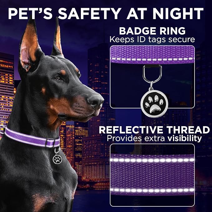TECEUM Reflective Dog Collar β Purple β S β Extra Soft Padding β Basic Nylon Pet Collar β Quick Release Buckle β Fits Small, Medium and Large Dogs, Puppies, Cats β ESA & Service Dog Options