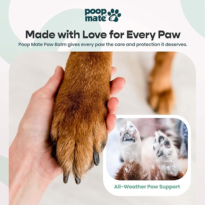 Dog Paw & Nose Balm (2 oz) | Natural, Lick-Safe Soothing Balm with Coconut Oil & Shea Butter | Moisturizing Paw Butter & Snout Cream for Dry, Cracked Pads & Noses