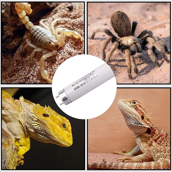 Aiicioo T8 UVB Reptile Light - 10.0 Reptile Fluorescent Light Bearded Dragon Desert UVB Bulb 24 inch 18 watt for Reptile Turtles Chameleon Tortoises Lizard
