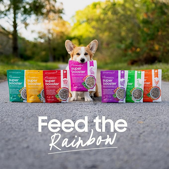 smallbatch Freeze Dried Dog Treats, Superfood Food Topper Beef Bites for Dogs & Cats, Probiotics, Organic Ingredients, High Protein, Grain Free Healthy Treat Food Topper, Made in The USA, 18 oz Bag