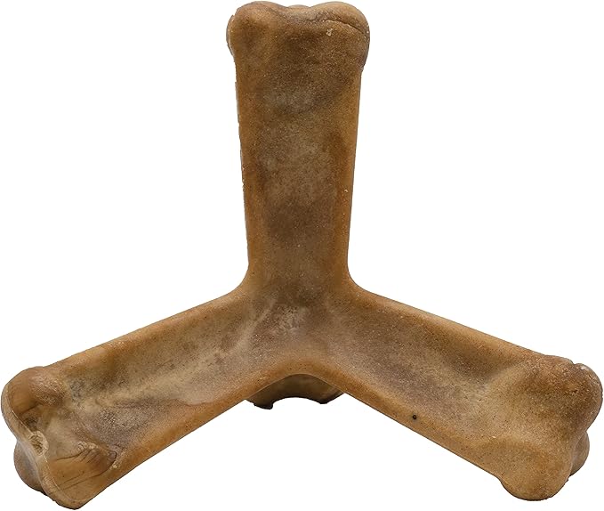 N-Bone Quado Interactive Chew, Peanut Flavor, Average Joe, 2.8oz, Natural, Medium (Pack of 1)