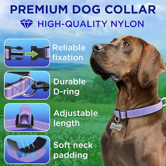 TECEUM Reflective Dog Collar β Lavender β XL β Extra Soft Padding β Basic Nylon Pet Collar β Quick Release Buckle β Fits Small, Medium and Large Dogs, Puppies, Cats β ESA & Service Dog Options
