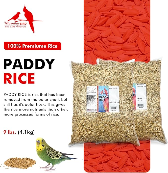Morning Bird Paddy Rice Bird Seed for Optimal Health & Nutritious Pet Bird Food – Supports Feathers & Immunity – Ideal for All Seed Eating Birds.18 lbs (2-Pack, 9 lbs Each)