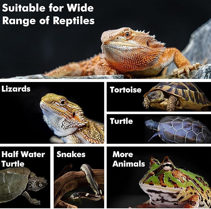 Reptile Heat Lamp, 100W Heat Lamp Bulbs for Reptiles 2 Pack, Amphibians Basking Heat Lamp Bulbs, UVA Daylight Basking Light for Reptiles, Bearded Dragon, Lizard, Turtle, Chicken