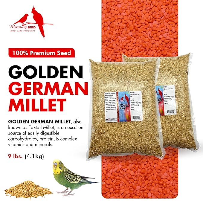 Morning Bird Golden German Millet – Bird Seed & Parakeet Food with Protein & Vitamin B – Easy-to-Digest Millet Seed, Natural Food & Daily Nutrition for All Type of Bird 18 lbs (2-Pack, 9 lbs Each)