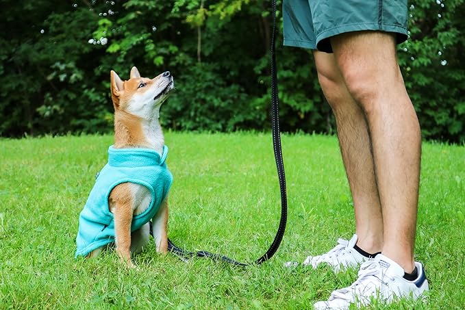JACKO & CO - Fleece Vest Sweater with Leash Ring - Soft Lightweight Breathable for Puppies Small Medium Dogs, Kitten, Cats, Chihuahua - Warm for Fall/Autumn/Winter (Turquoise, Small 4-6lbs)
