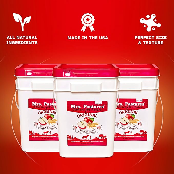 Mrs Pastures Cookies and Treats for Horses - Premium Horse Treats - Made with Apples, Oats, and Rolled Barley - Preservative Free - All Natural Ingredients - No Corn or Soy (15lb Refill Box)
