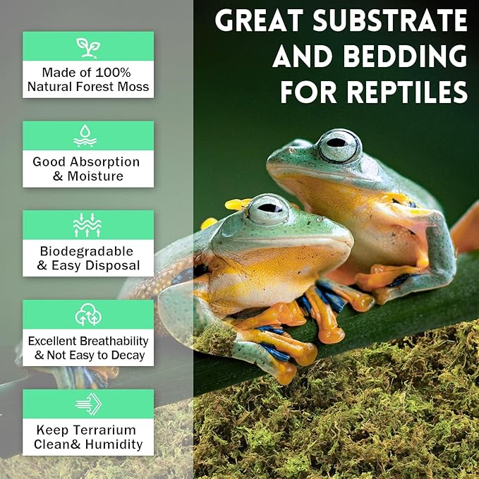 Riare 14 OZ Premium Sphagnum Moss for Reptiles- 20QT Natural Live Moss Reptile Moss Bedding for Terrarium, Hatching, Forest Sphagnum Moss Reptile Substrate for Snakes, Gecko, Turtles, Frogs, Leopard