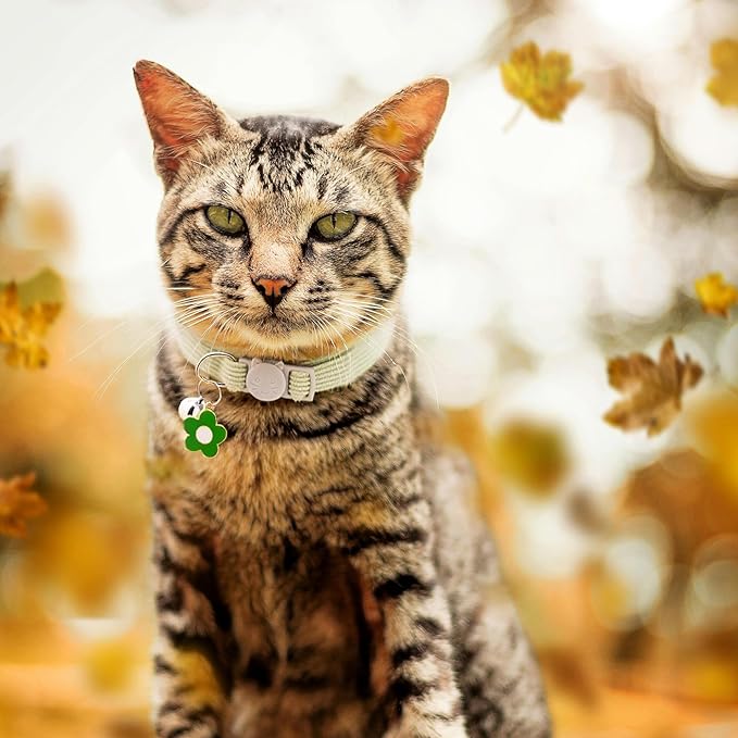 2 Pack Cat Collar with Bells, Corduroy Adjustable Kitten Collars with Breakaway Safety Buckle for Boy Girl Cats-Green Red