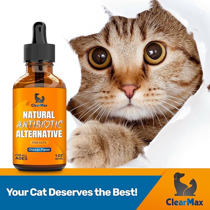 Cat Antibiotic to Help with Cough & Allergies โ Antibiotics for Cats to Aid with UTIs and Digestive Moments โ HIPS & Joints Support โ Attractive Chicken Taste โ 1 Oz Bottle