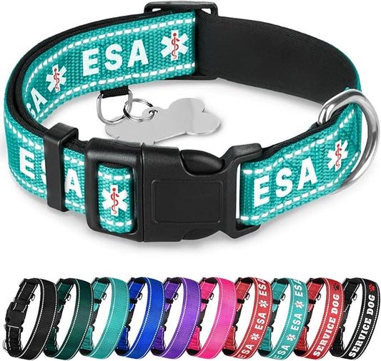 TECEUM Reflective Pet Collar – Teal - ESA – M – Extra Soft Padding – Basic Nylon Dog Collar – Quick Release Buckle – Fits Small, Medium and Large Dogs, Puppies, Cats – ESA & Service Dog Options