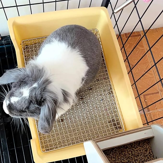 PODOO Steel Grids Rabbit Litter Box - Bunny Litter Pan Training Box, 15x11x4.7 inches, 1cm Holes Steel Mesh for Small Animals, Orange (Orange)