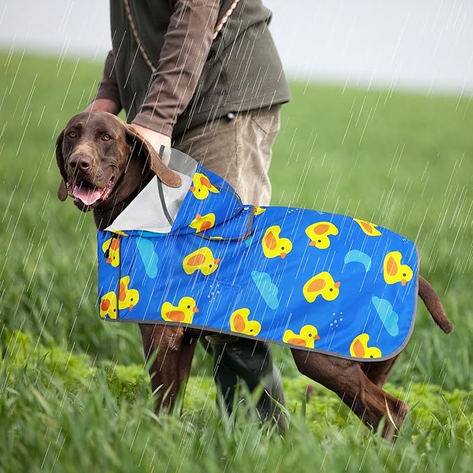 Dog Raincoat for Small Dogs, Adjustable Dog Rain Coat with Clear Hooded, Adjustable Rain Coat with Reflective Storage Pocket& Rim (Blue, Small)