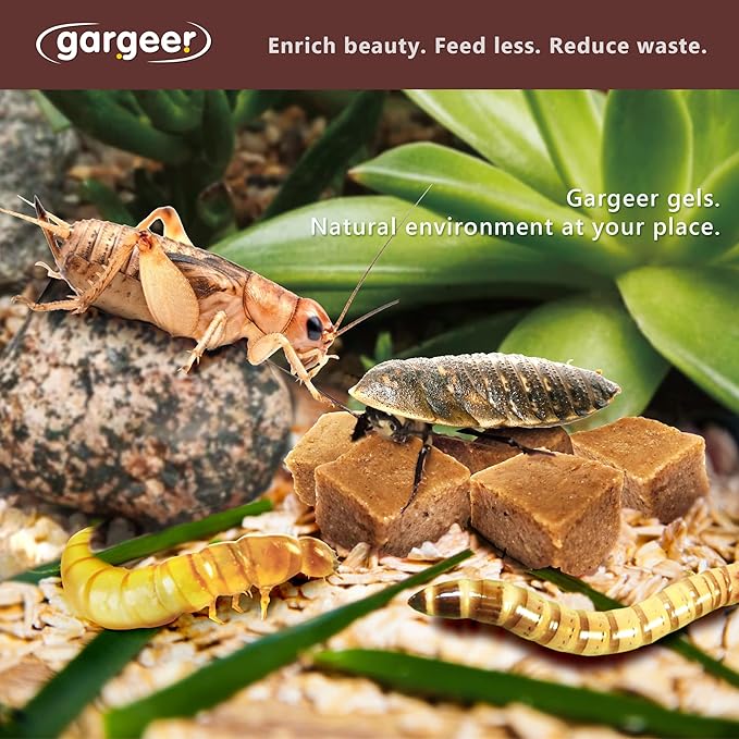 Bundle of Bearded Dragon Complete Gel Diet Food + Bugs & Insect Gel Food - Premium Formulas in one Set, Proudly Made in The USA