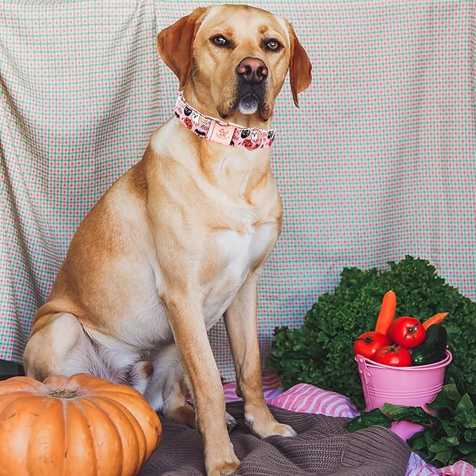 Elegant little tail Halloween Dog Collar, Autumn Pet Collar Durable Pink Dog Collars Male or Female Holiday Pet Gift Adjustable Dog Collar for Small Dogs