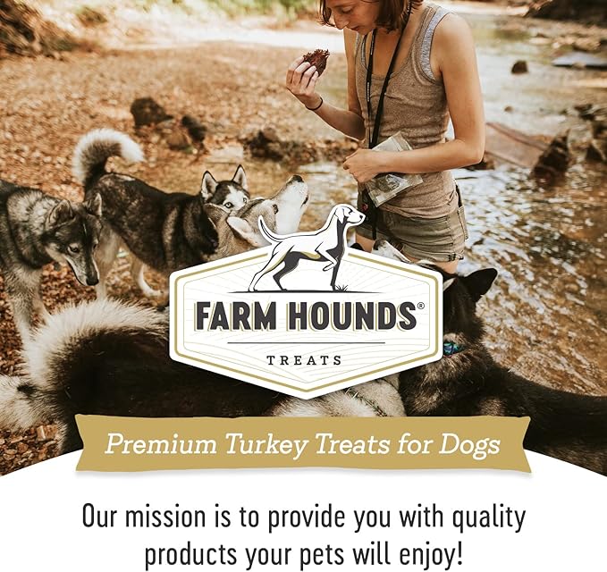Farm Hounds - Turkey Jerky - Premium Natural Jerky for Dogs - 100% Humanely Raised Turkey - Break-to-Size - Great for Training & Treats - No Added Fillers - Made in USA - 1 Pack