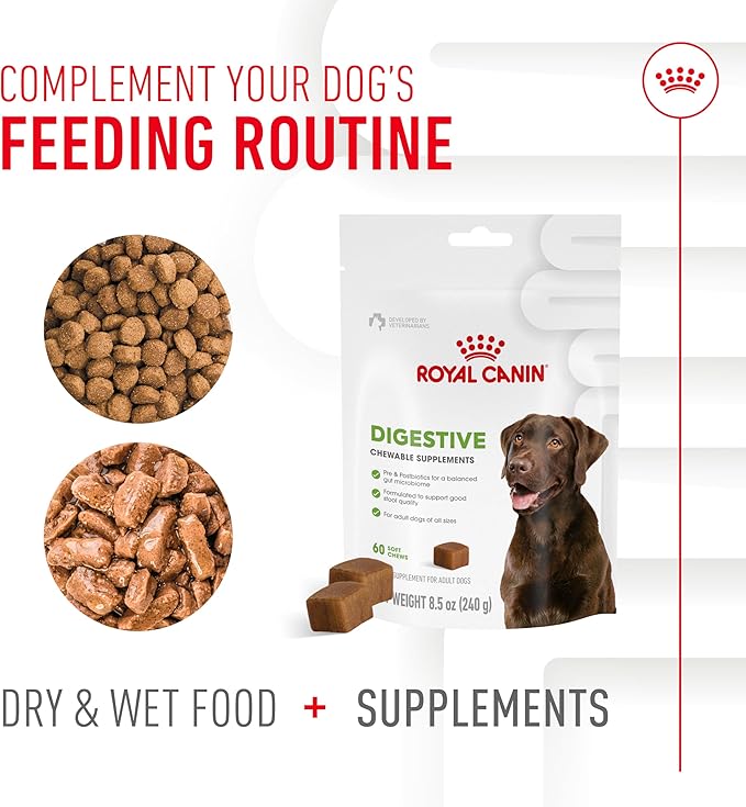 Royal Canin Digestive Supplement Soft Chews for Adult Dogs 8.47 oz (60 Count)