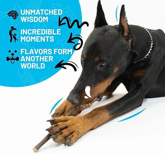 Sitka Farms Collagen Stick for Dogs 12 Inch - 5 Count - Collagen Chews for Dogs - Bully Stick & Rawhide Alternative Dog Chews Long Lasting - Supports Healthy Joints, Skin & Coat - Single Ingredient