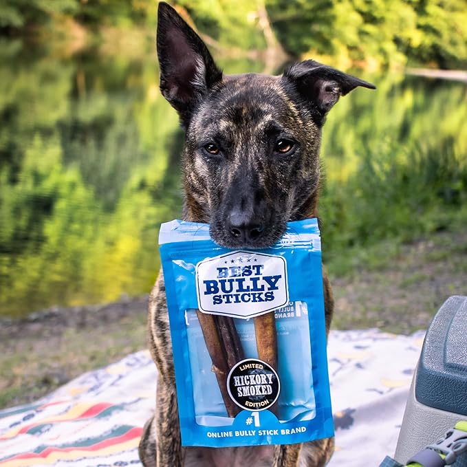 Best Bully Sticks Hickory Smoked Thick 6 Inch Bully Sticks - 18 Count (Pack of 1) - Natural, Grain and Odor-Free, Smoky Aroma, No Additives, Grass-Fed