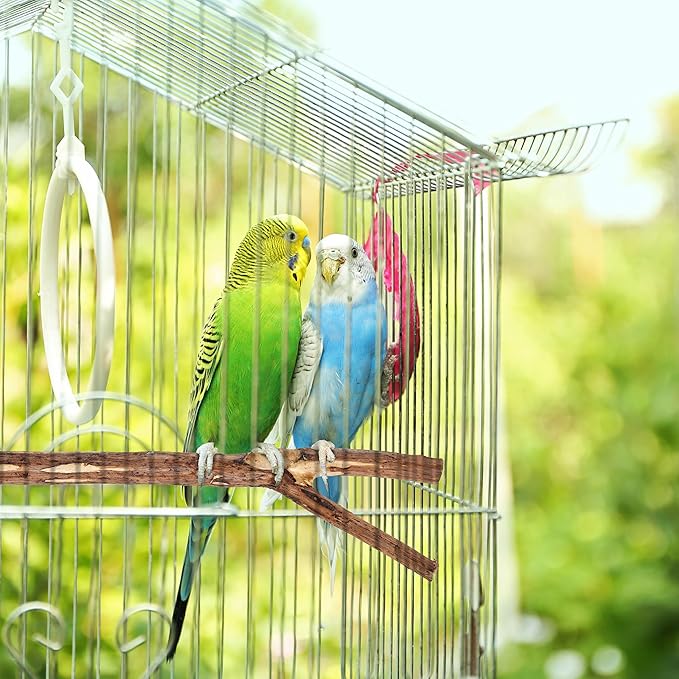 Niteangel Natural Wooden Perches for Bird Cages - Ideal for Cockatiels, Parakeets, Finches & Other Caged Birds (No-Bark, 2 Pack)