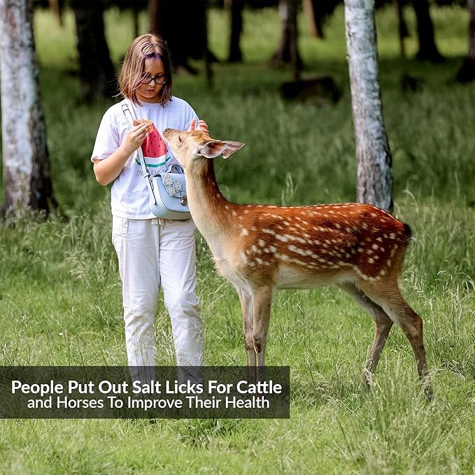 Licking Salt for Deer Block - Animal Licking Mineral Salt Block, Natural Feed Salt Rock for Horse, Deer & Animal, 10 Pound, 2 Counts