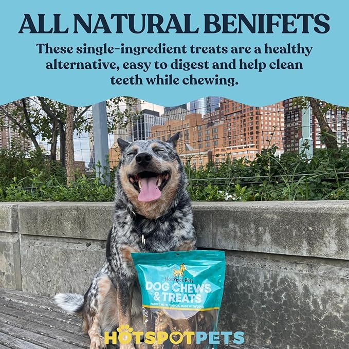 hotspot pets Braided Bully Sticks for Dogs -6 Inch Stix (20 Pack) Premium All Natural Long Lasting, Low Odor, Twisted Beef Pizzle Dog Chew Treats - Grain Free Fully Digestible Rawhide Alternative