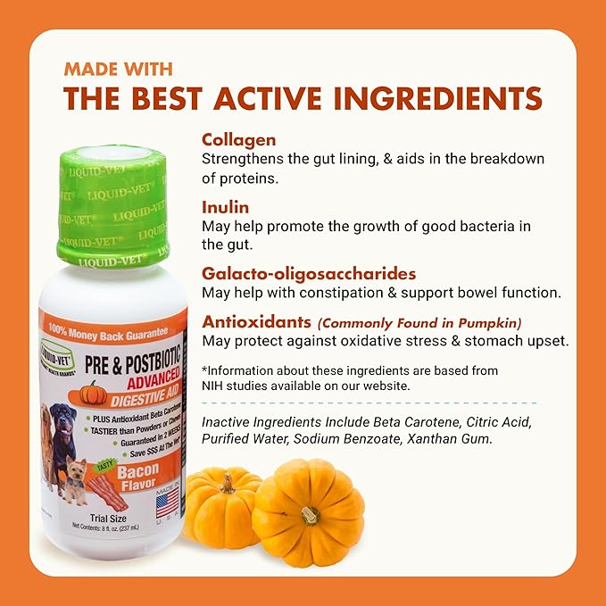 Pre & PostBiotic Support for Dogs – Digestive Upset, Stool Quality & Sensitive Stomach Support – Easy Liquid Formula for Picky Eaters