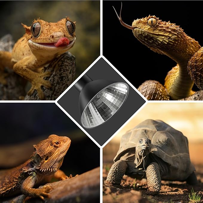 Reptile Heat Lamp 50W G9 Halogen Heat Bulb & Dome Reptile Light Fixture, Aluminum Reflector, UVA Basking Light for Reptiles, Dimmable Heat Lamp for Chicken Turtle Snake Gecko Lizard