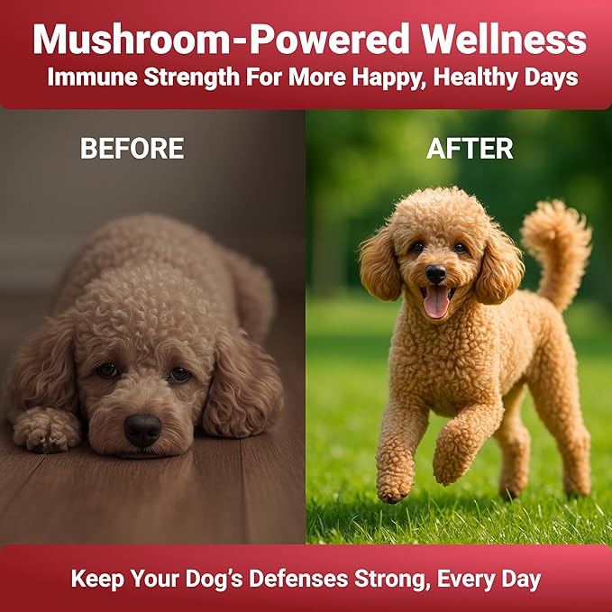 Turkey Tail Mushrooms for Dogs – Mushroom Supplement for Dogs Immune Support – Aids Lumps & Bumps – Mushroom Powder for Dog – Vet-Recommended – Dog Mushrooms Powder – Made in USA 1.9Oz