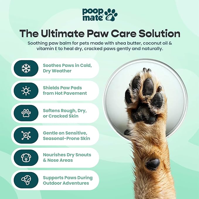 Dog Paw & Nose Balm (2 oz) | Natural, Lick-Safe Soothing Balm with Coconut Oil & Shea Butter | Moisturizing Paw Butter & Snout Cream for Dry, Cracked Pads & Noses