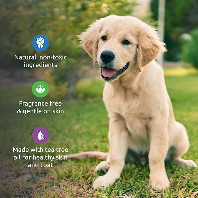 Protex PawZ No-Rinse Foaming Paw Cleanser for Dogs - Moisturizing, Fragrance-Free with Silicone Brush